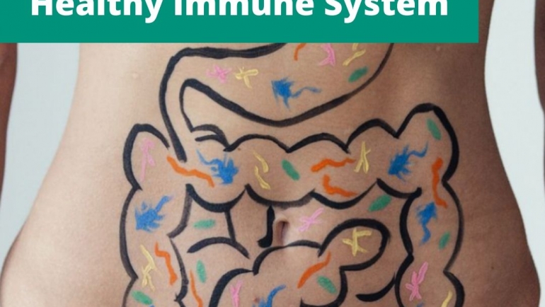 Gut Health and Immunity are Intertwined