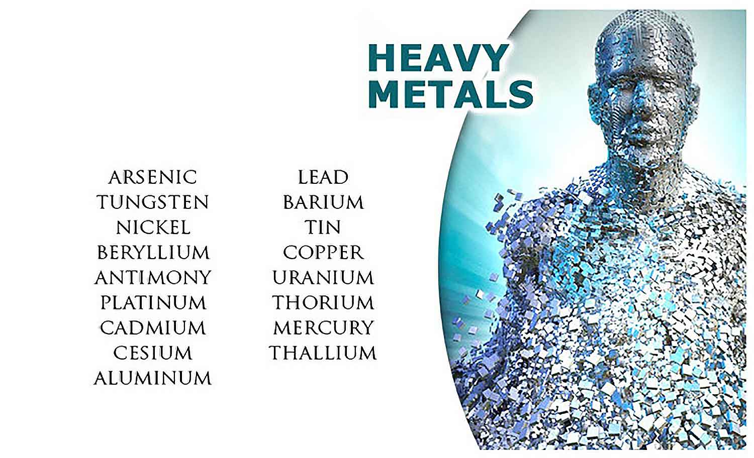 Heavy Metals