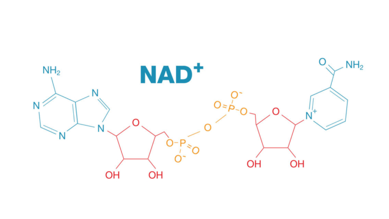 How NAD+ Works to Biohack Energy